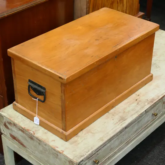 SMALL COLONIAL KAURI TRUNK L 610 MM 