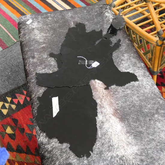 3 PCE LASER CUT NEW ZEALAND