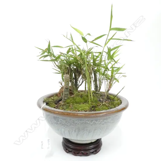 CHINESE BAMBOO BONSAI JUN WARE POT (DIA 270MM) ON STAND