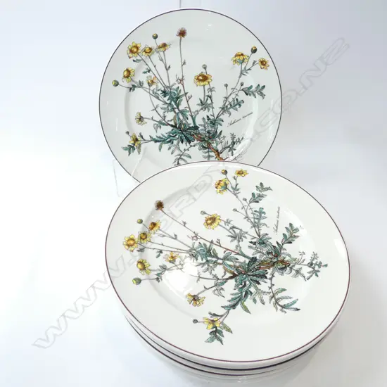 8 VILLEROY & BOCH BOTANICA DINNER PLATES - DIA.265MM