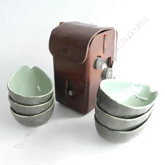 SIX AVOCADO DISHES AND A CAMERA