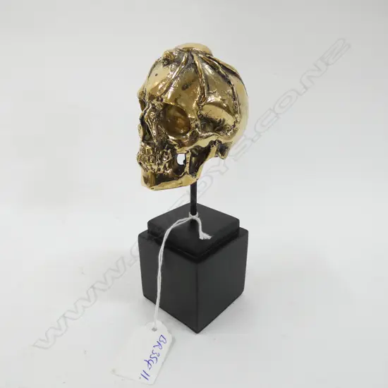 SMALL POLISHED BRONZE SCULPTURE SKULL WITH SPIDER...