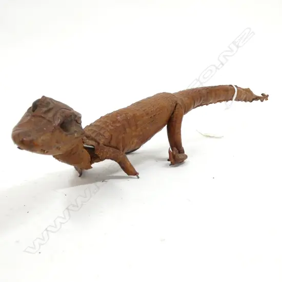 TAXIDERMY ALLIGATOR  36cm long. A.F.