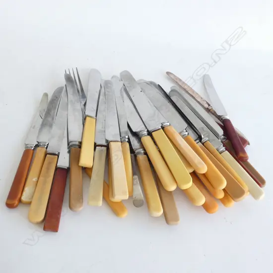 BAG BONE / CELLULOID HANDLED OLD KNIVES