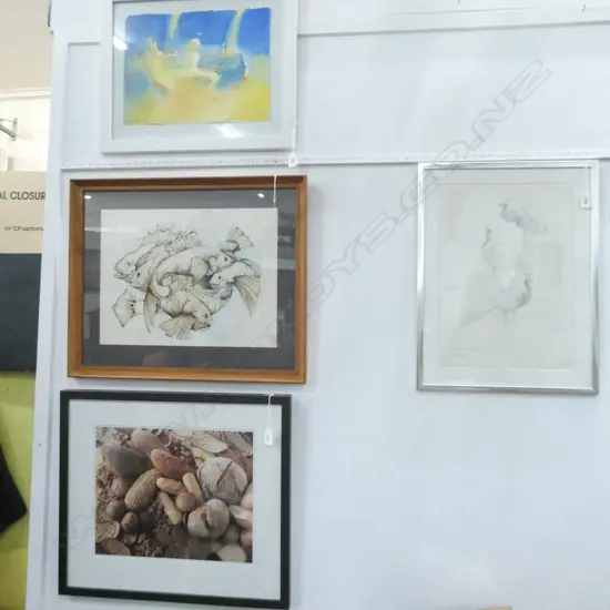 4 FRAMED PRINTS  / WATERCOLOURS LARGEST 440 X 340MM