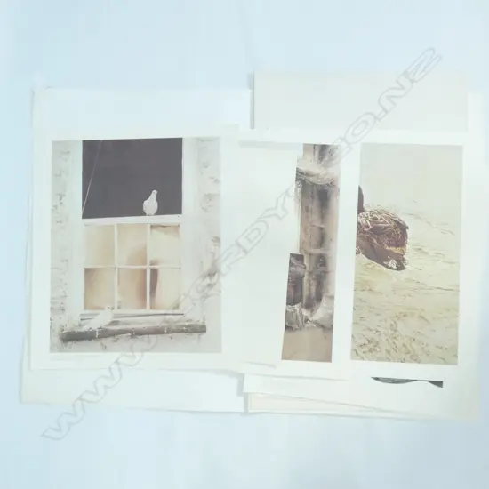 FOLIO OF ENGLISH BIRD PRINTS