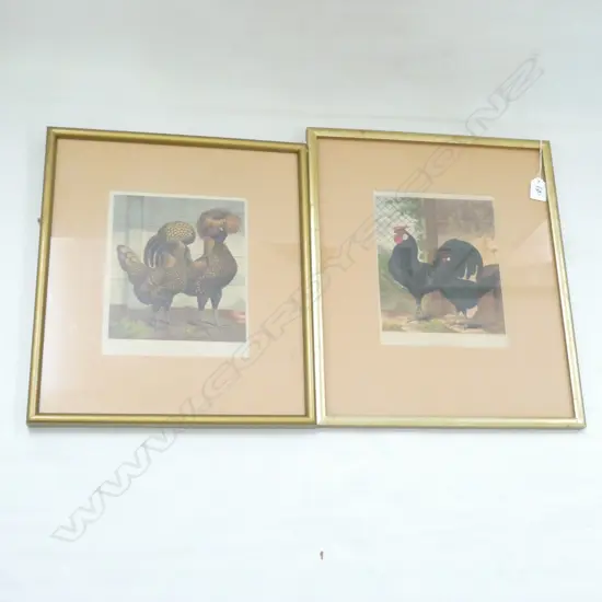 PR PRIZED ROOSTER PRINTS 225x185mm