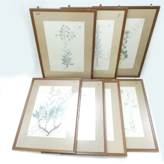7 LG 19THC FRAMED BOTANICAL HAND COLOURED PRINTS...