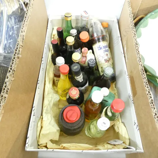 BOX MINIATURE ALCOHOL BOTTLES (22) 