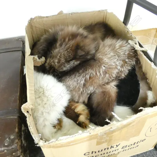 BOX LOT FURS - SOME WITH FOX HEADS