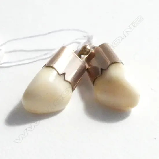 (19458) PR COLONIAL GOLD MOUNTED TEETH EARRINGS
