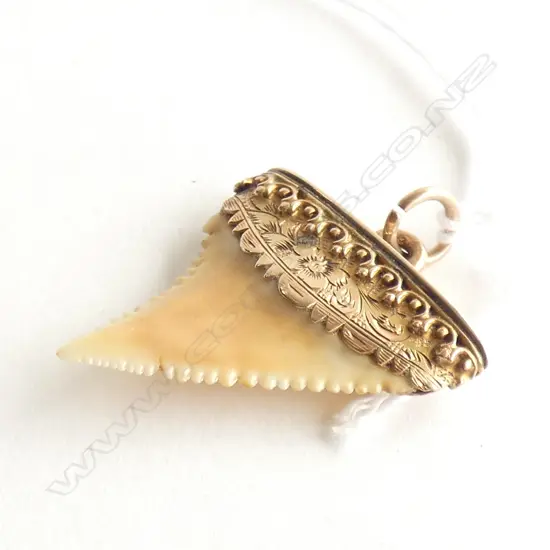 (19962) 9ct & SHARK'S TOOTH PENDANT MARKED 'B.BROS'