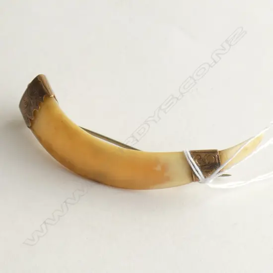 (55) NZ COLONIAL 9CT & BOAR'S TUSK BROOCH