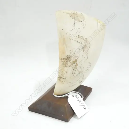 GENUINE SPERM WHALE SCRIMSHAW w. CARVED DRAGON DESIGN H.145mm