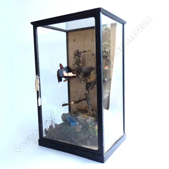 SMALL VICTORIAN DISPLAY CABINET w. BIRDS, ROCKS ETC...