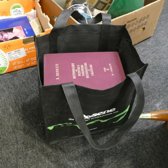 BAG OF VINTAGE FRENCH ARTIST DICTIONARIES