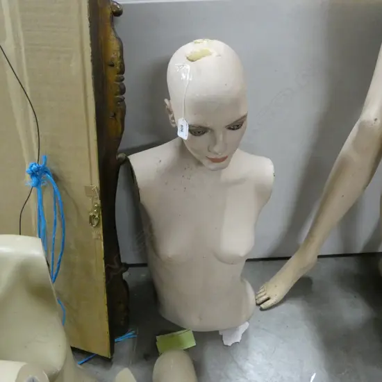 TORSO MANNEQUIN (AF)