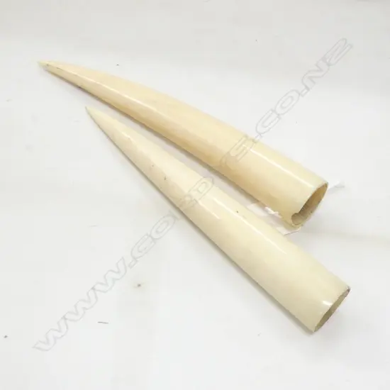 PAIR OF IVORY TUSK, L.190MM