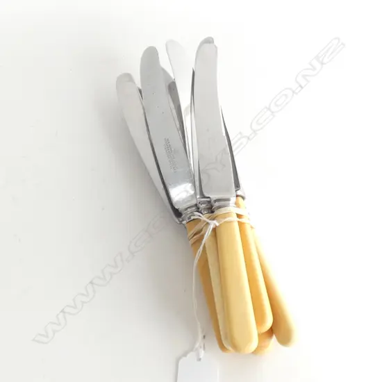 8 'BONE' HANDLED KNIVES 