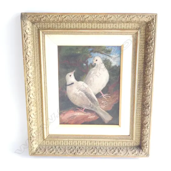 EARLY 20thC GILT FRAMED OIL ON CANVAS ON BOARD, INITIALLED CB, PAIR OF DOVES 170 x 220mm.