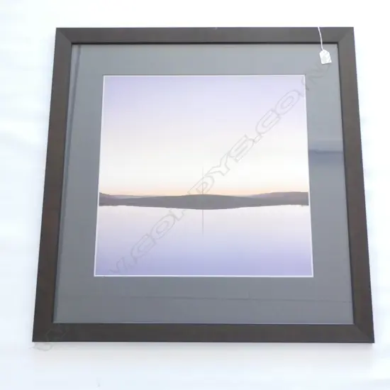 LG FRAMED PRINT 'PIG ROOT POND' BY GRAHAME SYDNEY '93  490 X 490MM