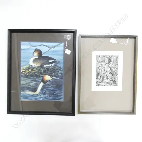 FRAMED W/COLOUR BIRDS +RONA DYER PRINT 15/25 340 X 250 MM