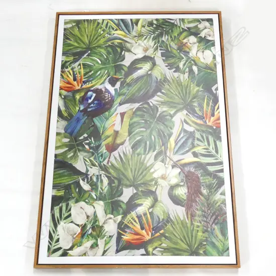 NZ  NATIVE BIRDS FRAMED PRINTED ARTWORK 