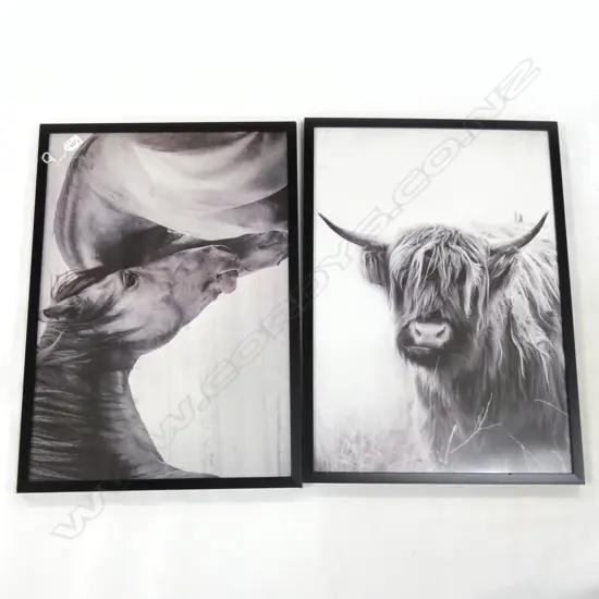 PAIR B/W PHOTOPRINT FRAMED ARTWORKS