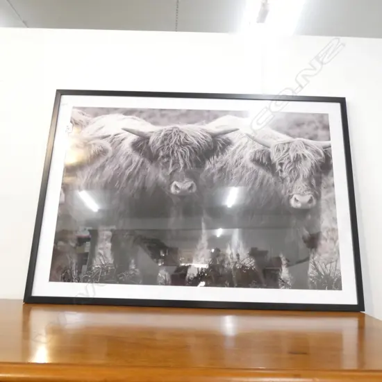 BLACK & WHITE PHOTO PRINTED ARTWORK 