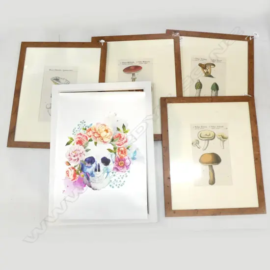 5 PRINTS; 4 MUSHROOM 290x175mm (560x455mm OVERALL) + 1 SKULL 