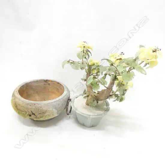 JADE (?)BONSAI PLANT IN CERAMIC POT (H 350MM) + CONCRETE POT (DIA 220MM)