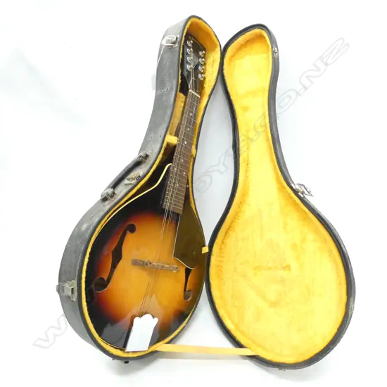 CASED KIZO SUZUKI KM 100 MANDOLIN L 600 MM