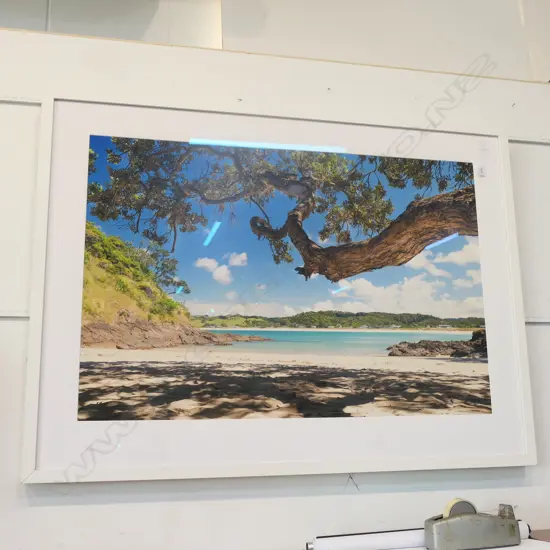 POHUTUKAWA PHOTOGRAPH FRAMED WITH MUSEUM GLASS 1385MM W X 1020MM H