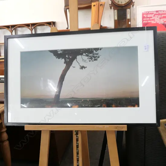 FRAMED EXPANSIVE PHOTO OF AUCKLAND & RANGITOTO