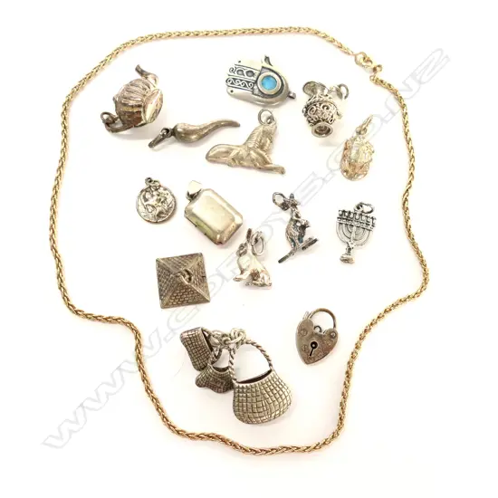 BAG OF SILVER CHARMS