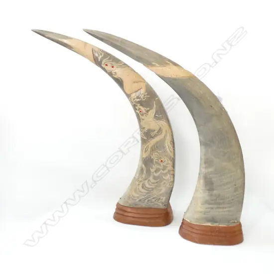 PR CARVED BUFFALO HORNS H. 450MM