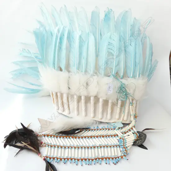 NATIVE AMERICAN WAR BONNET & BREAST PLATE, PURCHASED IN USA