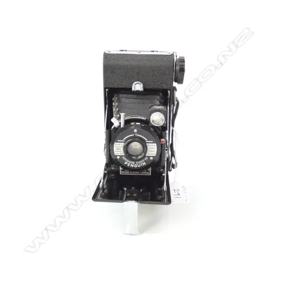 CASED FOLDING CAMERA