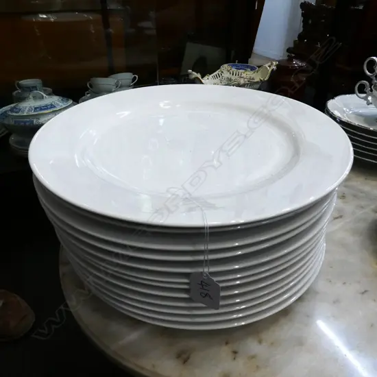 12 LARGE WHITE PLATES 310MM DIA