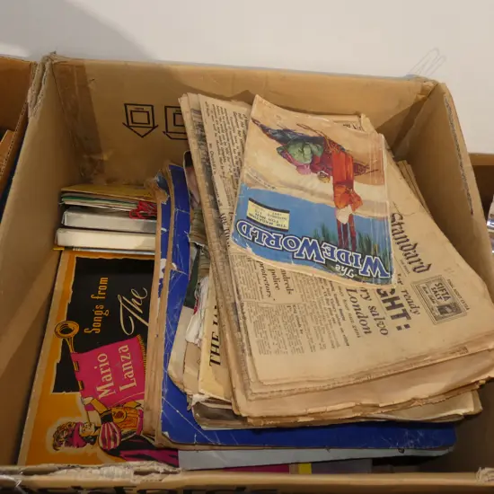 LOT ASST NEWSPAPERS/WEEKLY NEWS ETC