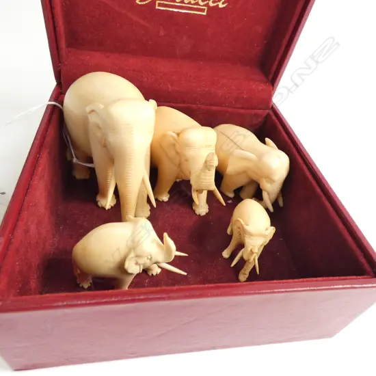 GRADUATED SET 5 CARVED IVORY ELEPHANTS TALLEST 52mm