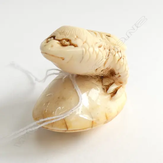 JAPANESE CARVED IVORY NETSUKE MYTHICAL TURTLE ON POD