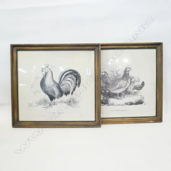 2 FRENCH ANTIQUE LITHO STYLE ROOSTER & HEN PRINTS 