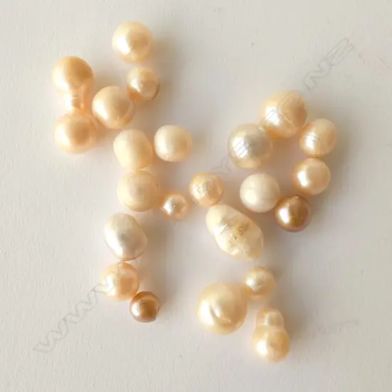 BAG OF FRESH WATER LOOSE PEARLS