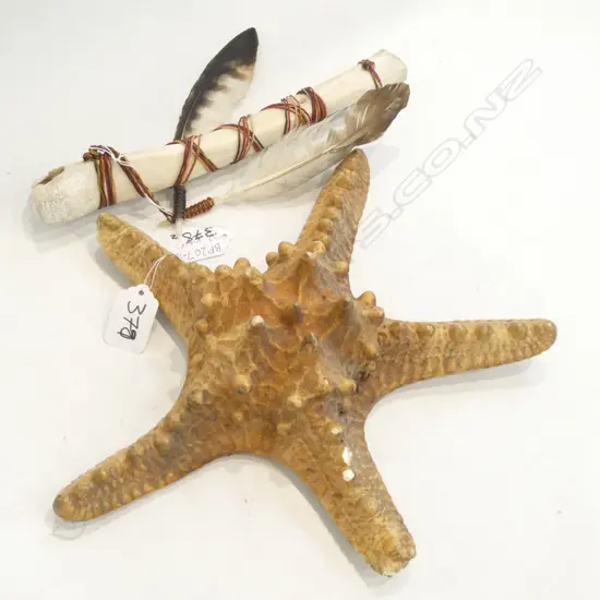 STARFISH +AMERICAN INDIAN FLUTE