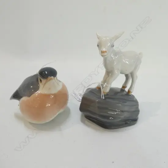 COPENHAGEN GOAT ON ROCK + BIRD