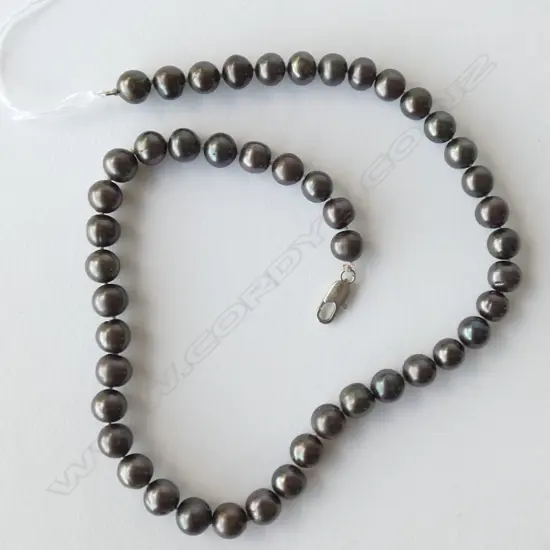 BLACK PEARL SINGLE STRAND NECKLACE