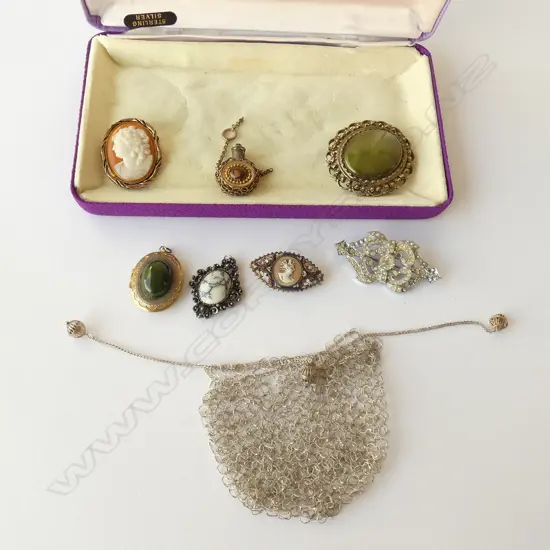 SILVER MISERS PURSE 7 COSTUME BROOCHES + PENDANTS