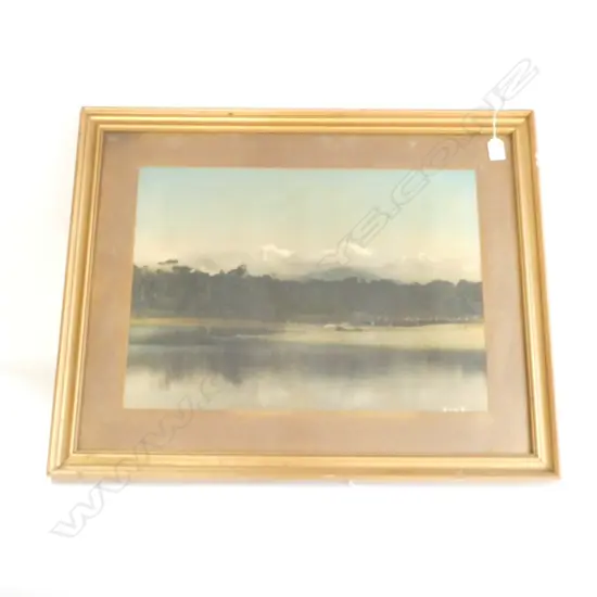 19thC LGE NZ PHOTO H/COLOURED Mts. COOK & TASMAN