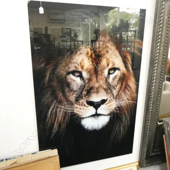 LION ON GLASS ART 800 X 1200MM